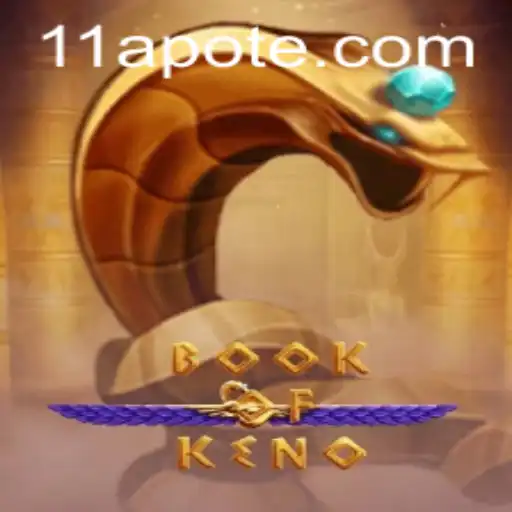 Experience the Thrill of BookOfKeno: A Guide to Gameplay and Rules